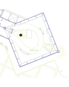 Cyrostachys renda map