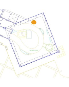 Delonix regia map