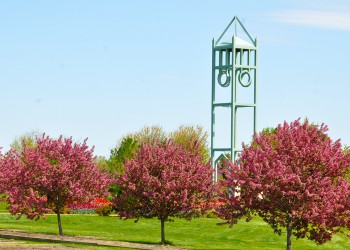 Campanile Garden spring with spring blossoms on trees