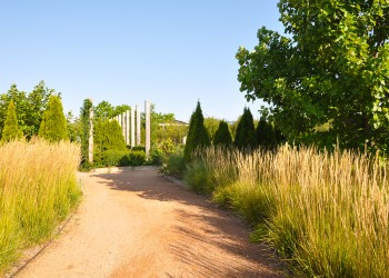 Karl Foerster grass outside at Reiman Gardens in fall