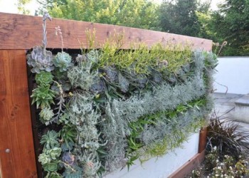 Gardening outdoors in summer with a live wall planted with flowers at reiman gardens