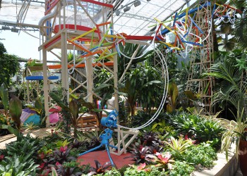 Rube Goldberg machine in Reiman Gardens' tropical plant Conservatory