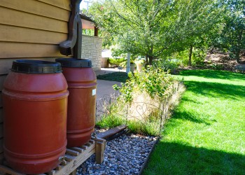 Rain Barrels and Rain Garden