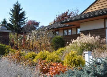 Town & Country Garden outdoors in fall with grasses and plantings and a building