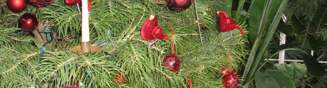 red holiday conservatory ornaments tree