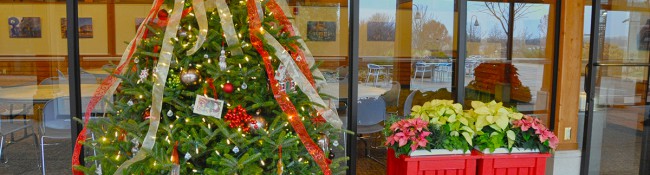 indoors at Reiman Gardens with a holiday tree and containers with poinsettias