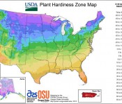 usda hardiness zones