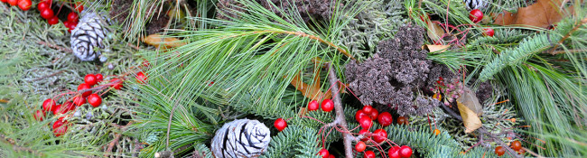 holiday container with pine needles,berries, evergreens, and more