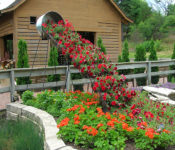outdoors at a botanical garden with a bucket planted in colorful red flowers that are cascading with orange flowers at the base