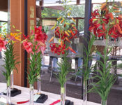 plants of interest table with bright colored flowers in vases