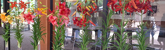 plants of interest table with bright colored flowers in vases