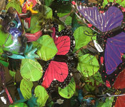 close up of colorful butterflies