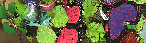 close up of colorful butterflies