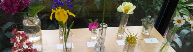 plants of interest table with colorful cut flowers
