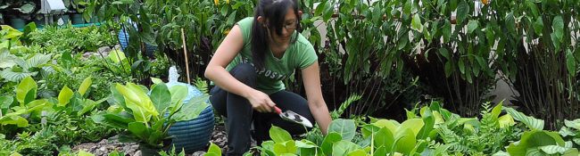 Reiman gardens intern digging in the dirt with plants around her