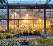 in a greenhouse where they grow plants with small plants in pots with plant labels