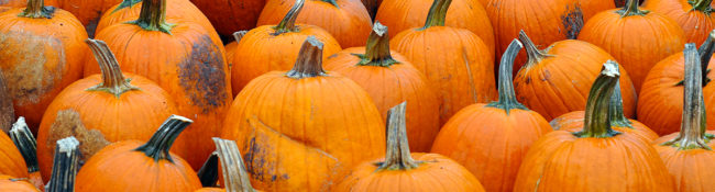 pile of orange pumpkins with green stems
