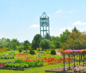 trial gardens in full bloom with lots of color in the summer andthe camp;anile behind it