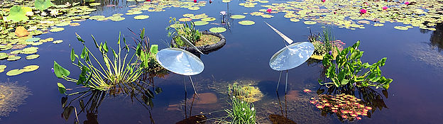 lake helen with two sculptures and green plants and water plants