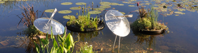 lake helen with two metal sculptures and lilies and grasses