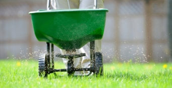 someone using a lawn fertilizer over green grass