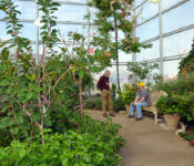 inside the Butterfly Wing with lotsof plantsk flowers, butterflies and two people, one of them is sitting at a wood bench