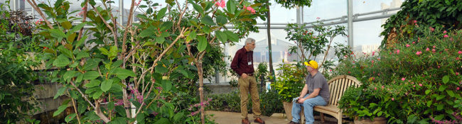 inside the Butterfly Wing with lotsof plantsk flowers, butterflies and two people, one of them is sitting at a wood bench