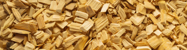 education program about wood chips