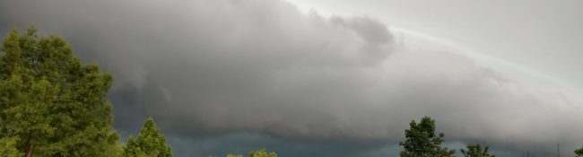 outdoors in summer with somebody walking at the Gardens with large storm clouds behind