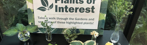 plant of interest table with plants in bud vases