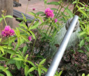 horticulture student watering plants