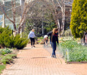 people outdoors in spring with several volunteers working on putting up fencing