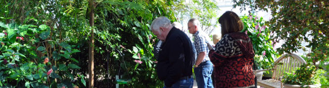 three people standing inside the Butterfly Wing with buttrflies flying around with plants and flowers