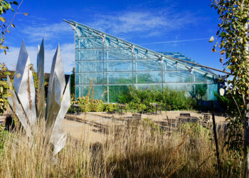 The Events Plaza overlooking the Butterfly Wing with grasses and a sculpture