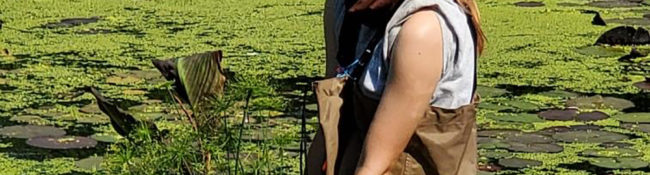 intern wading in Lake Helen with waders on with plantsin her hand