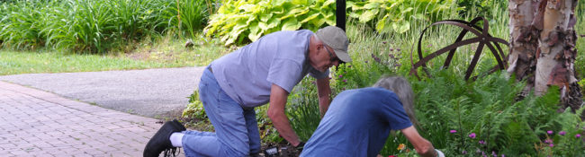 two volunteers kneeled over planting outside in summer