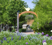 outdoors in summer with blue and purple flowers and the Children's Garden sign