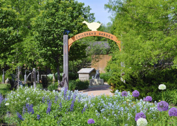 outdoors in summer with blue and purple flowers and the Children's Garden sign