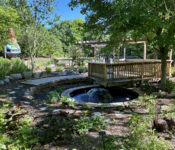 outdoors in summer in the reflection garden with a tree, shrubs, a fountain water feature and a deck and pergola