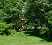 outdoors in summer in the Hardwood Foest with large green trees, a wood pergola and a person