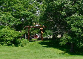 outdoors in summer in the Hardwood Foest with large green trees, a wood pergola and a person