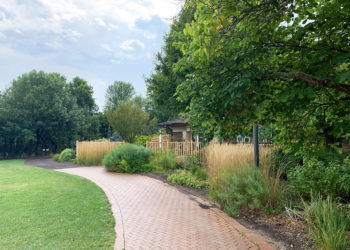 outdoors in fall in the Front Yard Garden with large trees, grasses, a wood fence and a building