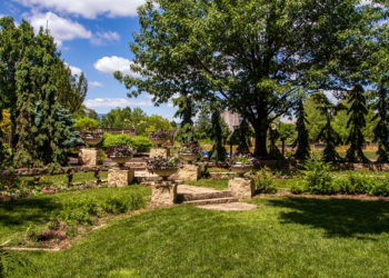 outdoors in summer in the Formal Lawn Garden with large trees, lawn, and planted containers