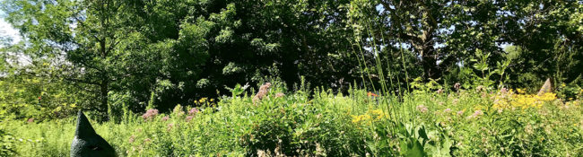 outdoors in summer in the Prairie Vista Garden with rabbit sculptures, pairie plants, and trees