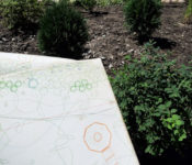 Plant a Row for the Hungry garden beds