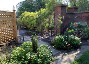 outdoors in summer in the Walled Courtyard with various flowers and evergreens