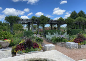 Outdoors in the Jones Rose Garden in summer with many multi colored flowers and a wisteria arbor