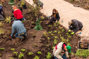 group of volunteers planting in Sycamore Falls in spring