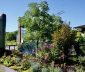 outdoors in summer with trees, shrubs, and flowers