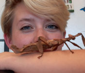 entomology intern with a huge insect on her arm